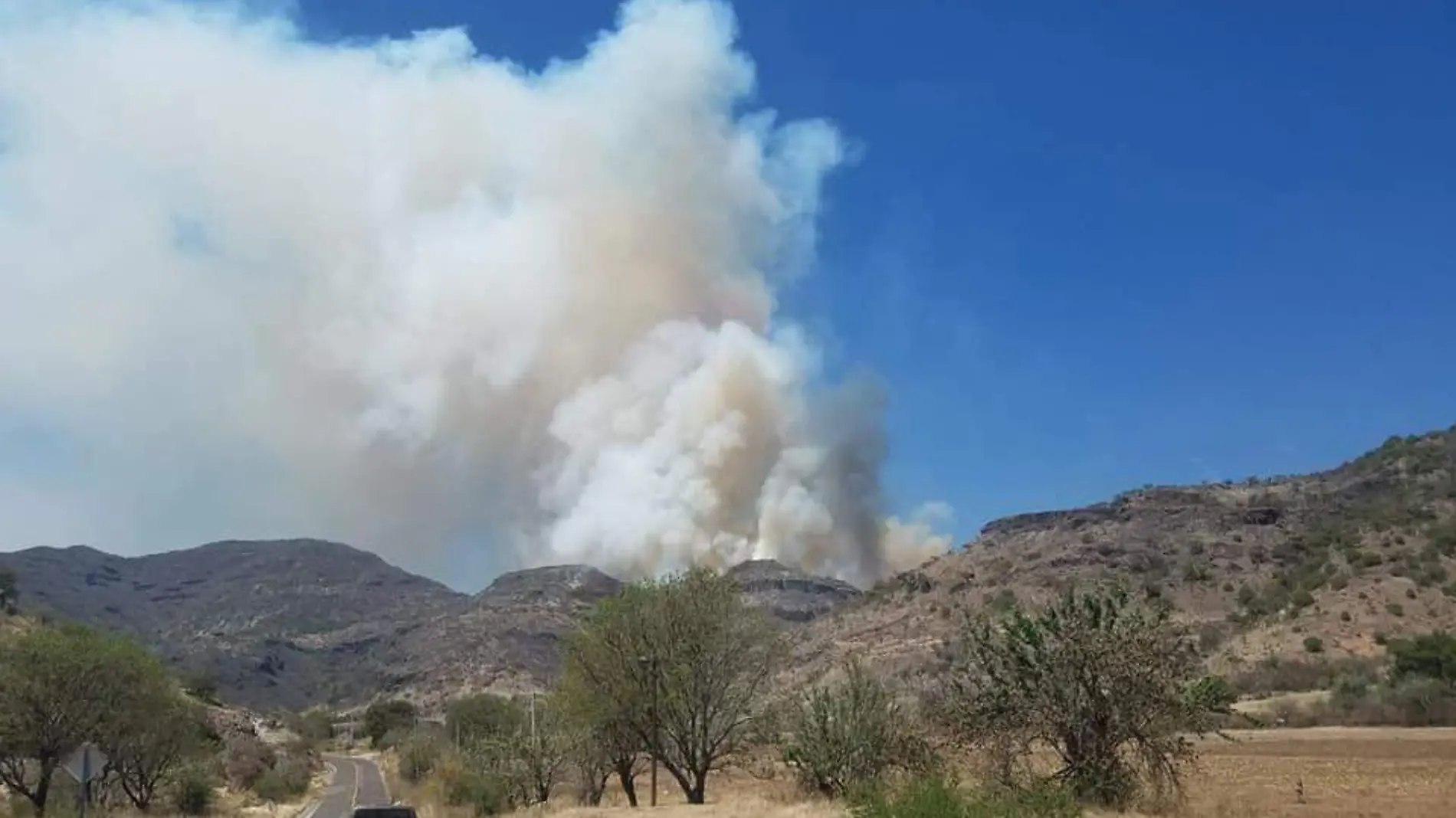 incendio chila de las flores